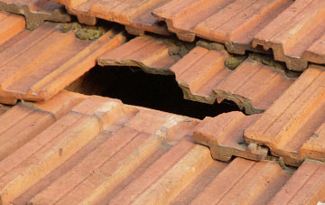 roof repair Bearpark, County Durham